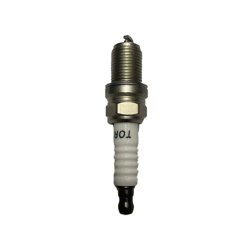 Scintillam plug (10099079 RW CCCL CCCLX mg3